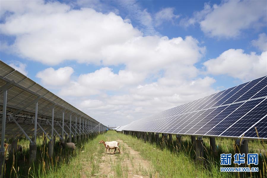 (新華全媒頭條·走向我們的小康生活·決戰(zhàn)決勝脫貧攻堅·圖文互動)(2)高原上綻放的光芒——來自青海攻克深度貧困堡壘的故事