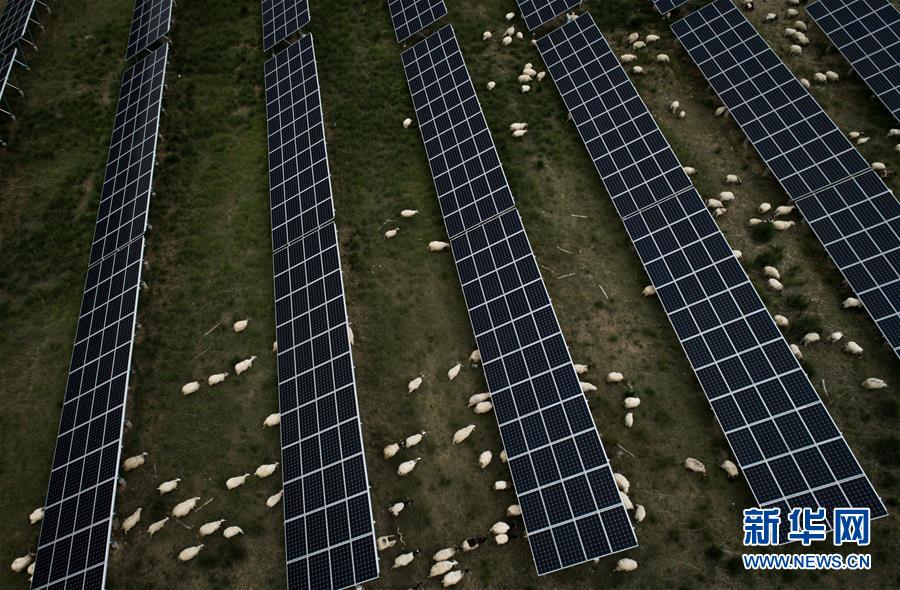 (新華全媒頭條·走向我們的小康生活·決戰(zhàn)決勝脫貧攻堅·圖文互動)(3)高原上綻放的光芒——來自青海攻克深度貧困堡壘的故事