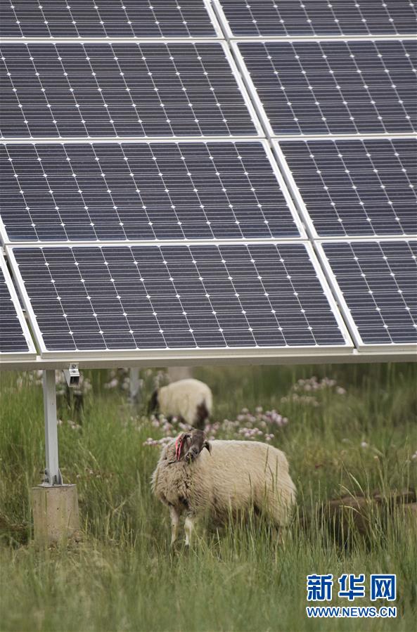 (新華全媒頭條·走向我們的小康生活·決戰(zhàn)決勝脫貧攻堅·圖文互動)(5)高原上綻放的光芒——來自青海攻克深度貧困堡壘的故事