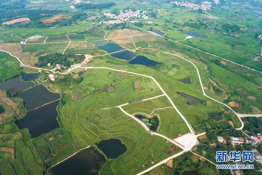 （新華全媒頭條·走向我們的小康生活·圖文互動）（1）特殊之年，荊楚大地書寫不平凡的答卷
