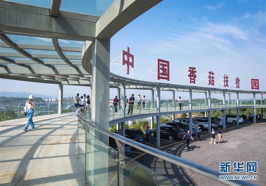 （新華全媒頭條·走向我們的小康生活·圖文互動）（2）特殊之年，荊楚大地書寫不平凡的答卷