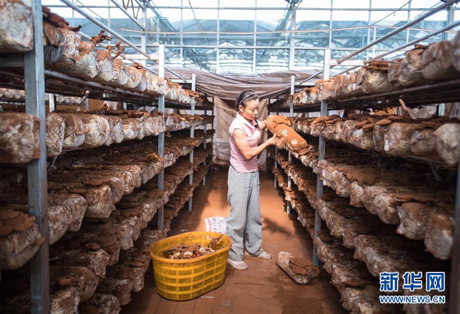 （新華全媒頭條·走向我們的小康生活·圖文互動）（3）特殊之年，荊楚大地書寫不平凡的答卷