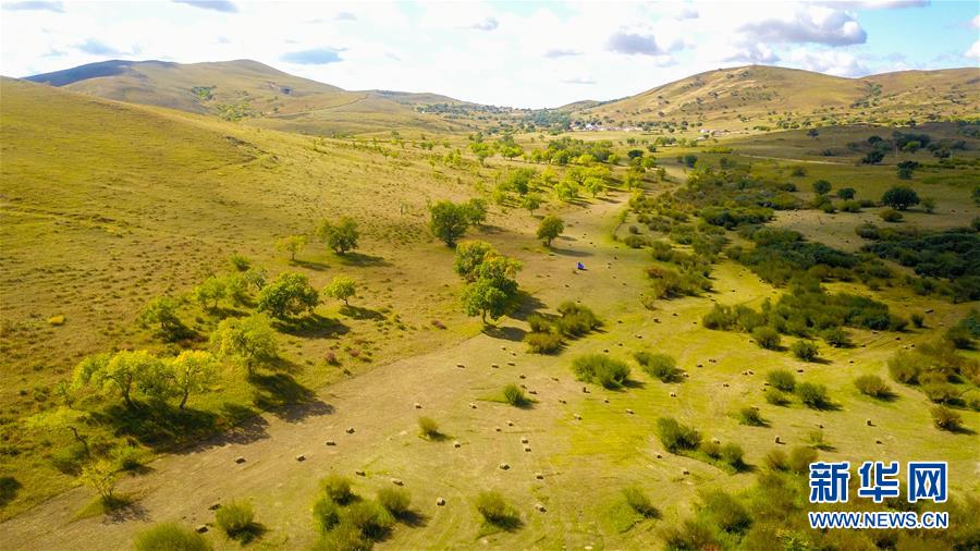 （在習(xí)近平新時(shí)代中國(guó)特色社會(huì)主義思想指引下——新時(shí)代新作為新篇章·習(xí)近平總書記關(guān)切事·圖文互動(dòng)）（4）綠意，在黃沙中鋪展——我國(guó)防沙治沙紀(jì)實(shí)