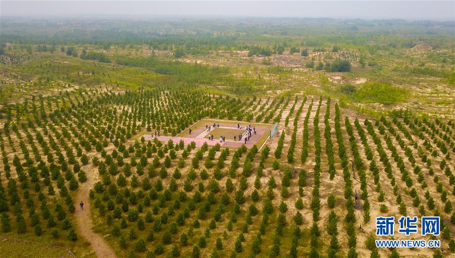 （在習(xí)近平新時(shí)代中國(guó)特色社會(huì)主義思想指引下——新時(shí)代新作為新篇章·習(xí)近平總書記關(guān)切事·圖文互動(dòng)）（2）綠意，在黃沙中鋪展——我國(guó)防沙治沙紀(jì)實(shí)