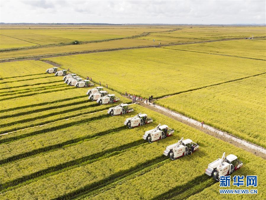 （新華全媒頭條·圖文互動）（15）奮斗結(jié)碩果，再寫新篇章——寫在共和國71周年華誕之際