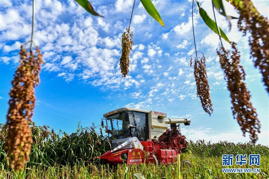 （新華全媒頭條·圖文互動）（17）奮斗結(jié)碩果，再寫新篇章——寫在共和國71周年華誕之際