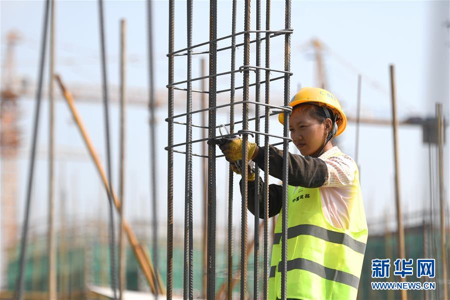 (社會)(11)堅守崗位過假期