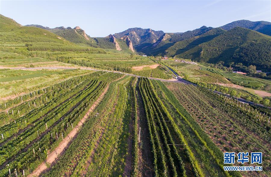 (集中連片特困地區貧困村調研行·圖文互動)(1)又整新鞍馬蹄輕——內蒙古喀喇沁旗馬鞍山村脫貧調查