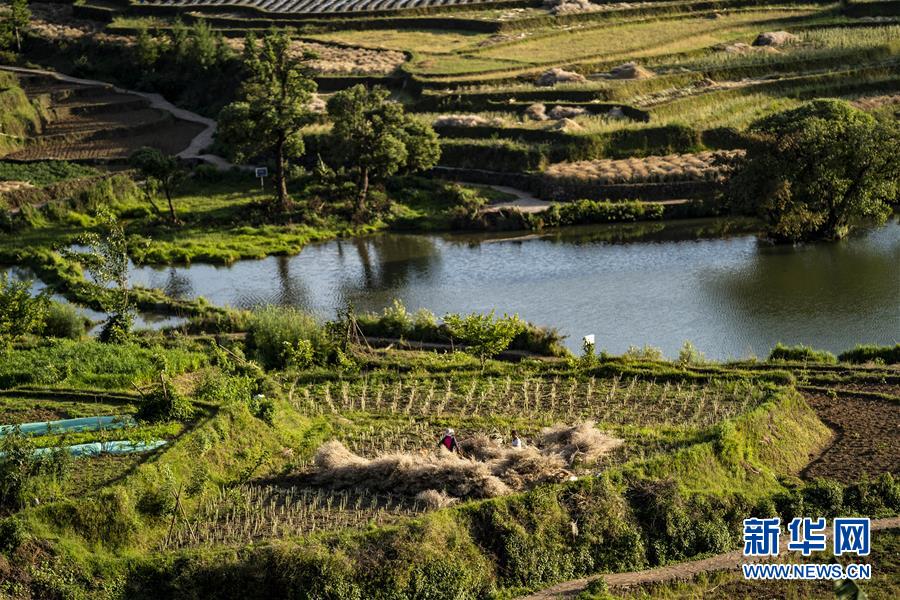 (集中連片特困地區貧困村調研行·圖文互動)(4)阿佤人民再唱新歌——云南騰沖市三家村中寨司莫拉佤族村脫貧調查