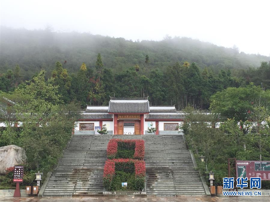 (熱點鮮報·圖文互動)(5)善洲精神永相傳:留下一片綠洲 造福家鄉百姓