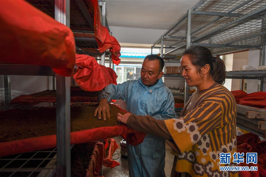 (決戰決勝脫貧攻堅·圖文互動)(5)從“因殘致貧”到“帶頭脫貧”——吉林靖宇有這樣一位“脫貧英雄”