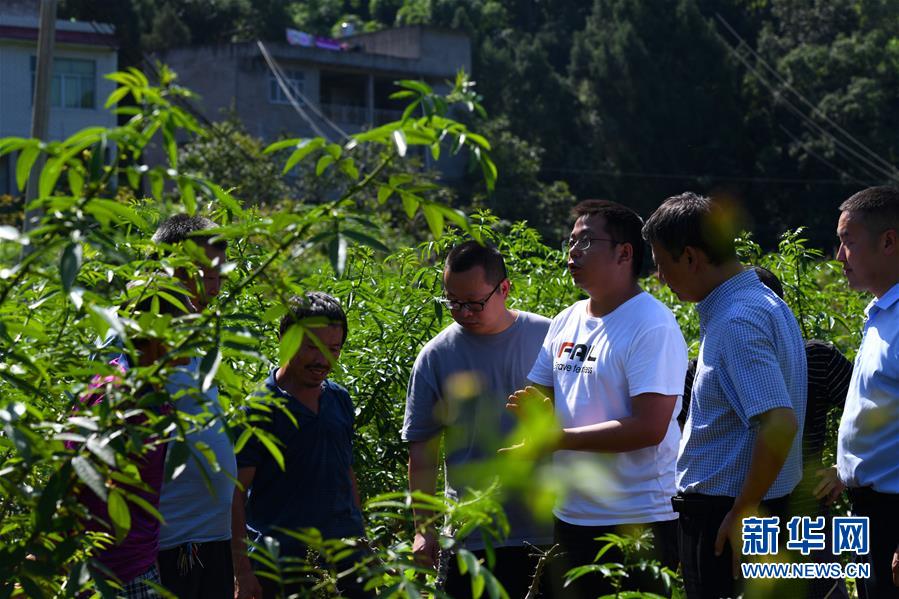 (決戰(zhàn)決勝脫貧攻堅(jiān)·圖文互動(dòng))(3)“堵槍眼”的脫貧戰(zhàn)怎么打?——繼光村見(jiàn)聞
