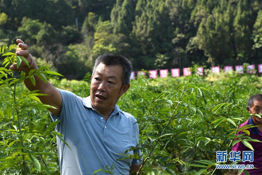 (決戰(zhàn)決勝脫貧攻堅(jiān)·圖文互動(dòng))(4)“堵槍眼”的脫貧戰(zhàn)怎么打?——繼光村見(jiàn)聞