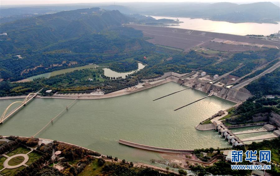 (新華全媒頭條·圖文互動)(1)從“四亂”突出到生態(tài)修復 黃河漸成中原“綠飄帶”