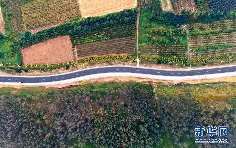 (新華全媒頭條·圖文互動)(4)從“四亂”突出到生態(tài)修復 黃河漸成中原“綠飄帶”