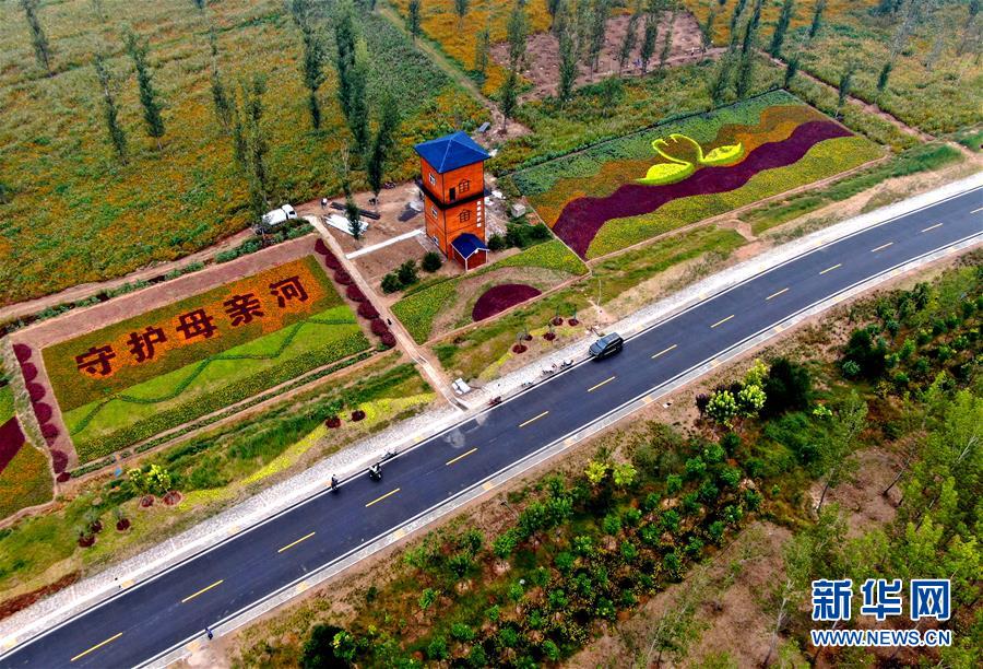 (新華全媒頭條·圖文互動)(6)從“四亂”突出到生態(tài)修復 黃河漸成中原“綠飄帶”