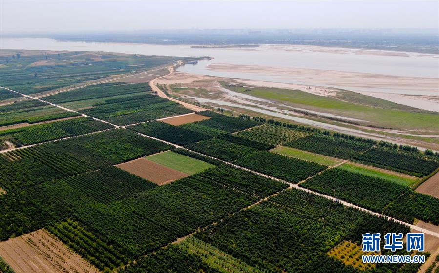 (新華全媒頭條·圖文互動)(9)從“四亂”突出到生態(tài)修復 黃河漸成中原“綠飄帶”