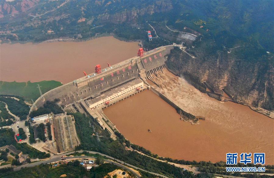 (新華全媒頭條·圖文互動)(11)從“四亂”突出到生態(tài)修復 黃河漸成中原“綠飄帶”