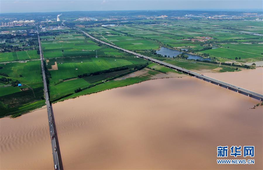 (新華全媒頭條·圖文互動)(16)從“四亂”突出到生態(tài)修復 黃河漸成中原“綠飄帶”