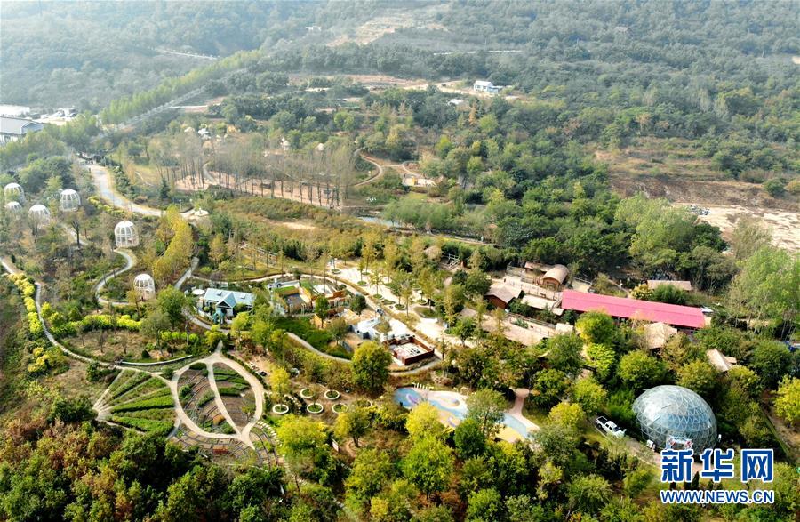 (全面建成小康社會“百城千縣萬村調研行”·圖文互動)(2)青島西海岸新區以“生態酵母”激活鄉村振興