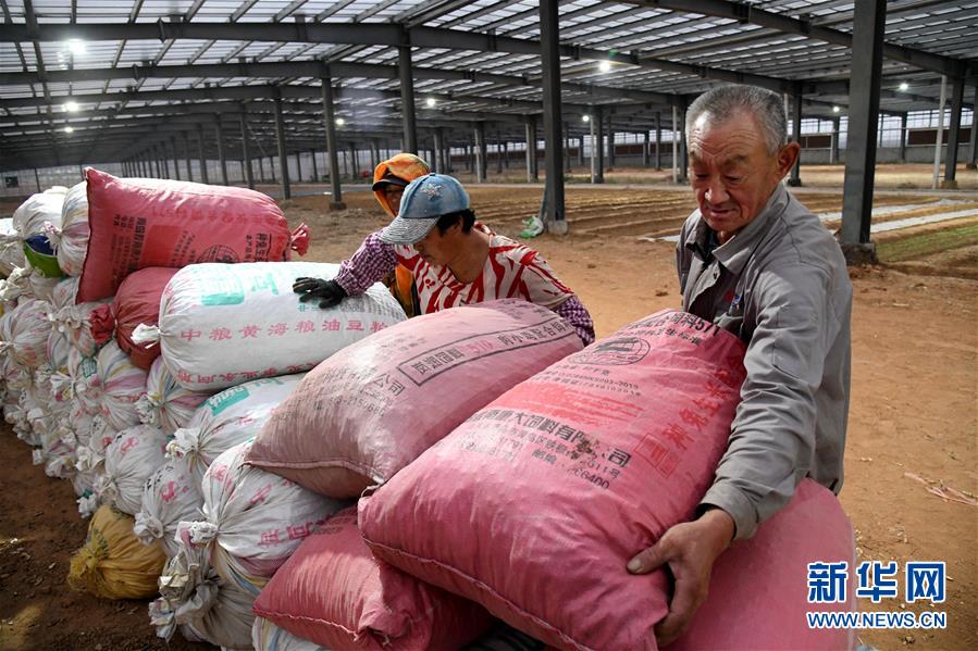 (全面建成小康社會“百城千縣萬村調研行”·圖文互動)(6)青島西海岸新區以“生態酵母”激活鄉村振興