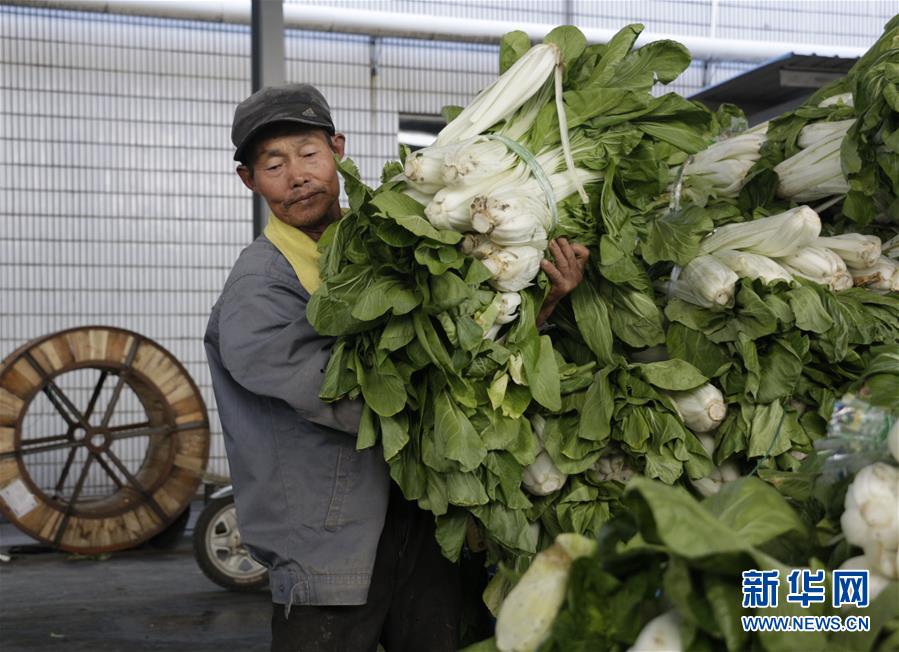 (全面建成小康社會“百城千縣萬村調(diào)研行”·圖文互動)(3)安徽當(dāng)涂:強產(chǎn)業(yè)抓主體促增收