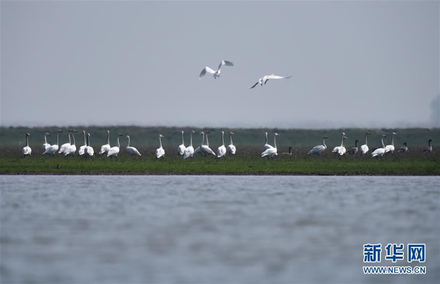 (新華全媒頭條·圖文互動)(11)潮起東方萬象新——以習近平同志為核心的黨中央團結帶領全黨全軍全國各族人民貫徹落實黨的十九大精神紀實