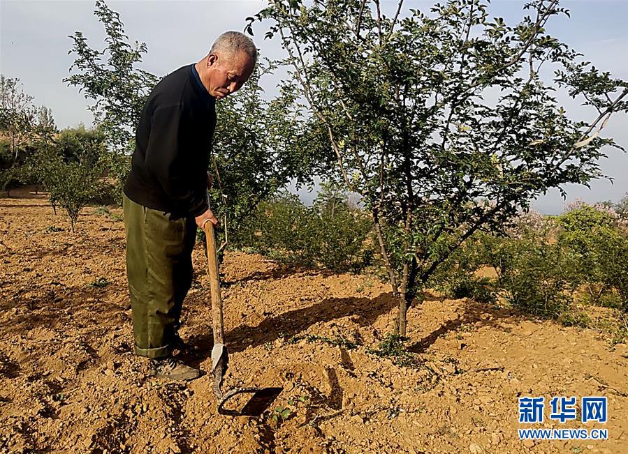 (新華全媒頭條·圖文互動)(4)春天里的5個“戰貧”瞬間——習近平總書記關于脫貧攻堅決策部署指引攻克最后的深貧堡壘