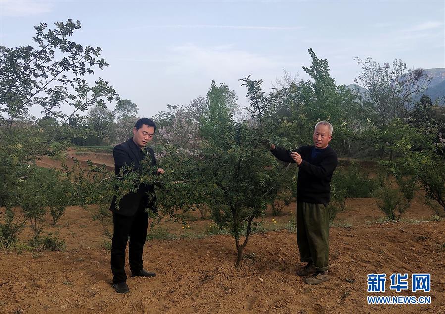 (新華全媒頭條·圖文互動)(6)春天里的5個“戰貧”瞬間——習近平總書記關于脫貧攻堅決策部署指引攻克最后的深貧堡壘