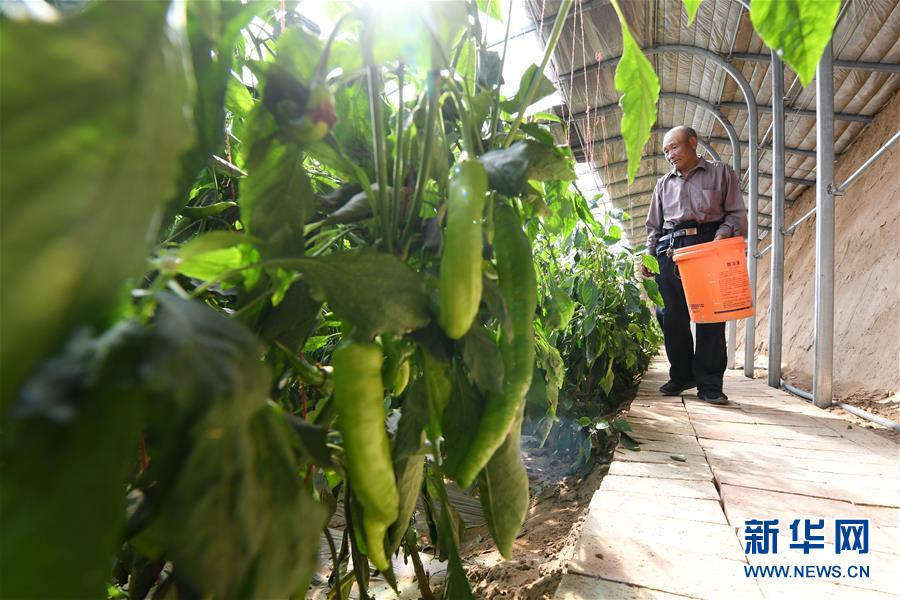 (新華全媒頭條·圖文互動)(15)春天里的5個“戰貧”瞬間——習近平總書記關于脫貧攻堅決策部署指引攻克最后的深貧堡壘