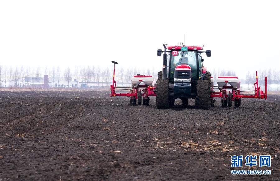 (在習近平新時代中國特色社會主義思想指引下——新時代新作為新篇章·習近平總書記關切事·圖文互動)(10)春耕忙 信心足——谷雨時節走馬東北直擊糧事