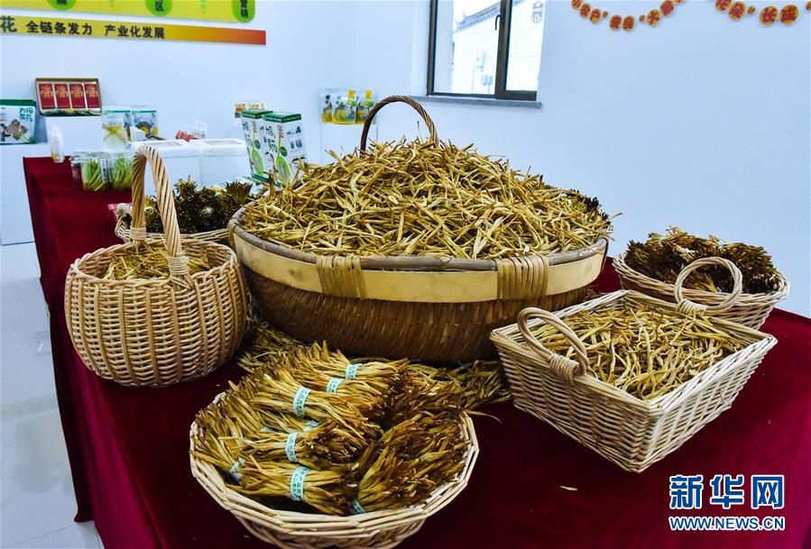 (新華全媒頭條·圖文互動(dòng))(3)初夏,循著總書記的腳步探訪產(chǎn)業(yè)扶貧新事