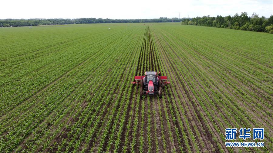 (在習近平新時代中國特色社會主義思想指引下——新時代新作為新篇章·習近平總書記關(guān)切事·圖文互動)(5)讓每一寸耕地都成為豐收的沃土——我國加強耕地保護推進“藏糧于地”