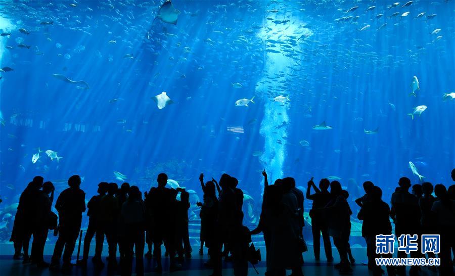 (在習近平新時代中國特色社會主義思想指引下——新時代新作為新篇章·習近平總書記關切事·圖文互動)(9)感受開放新魅力——海南自由貿(mào)易港建設開局觀察