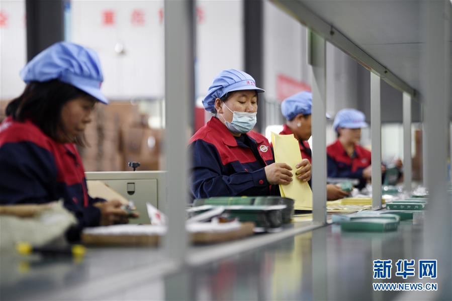 (在習近平新時代中國特色社會主義思想指引下——新時代新作為新篇章·習近平總書記關切事·圖文互動)(1)“綠色銀行”發(fā)工資、“股東”分紅來敲門……——探索長效脫貧致富新機制見聞