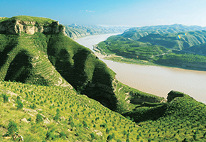 張建龍：“三北工程”實現生態(tài)、經濟、社會效益“多贏”