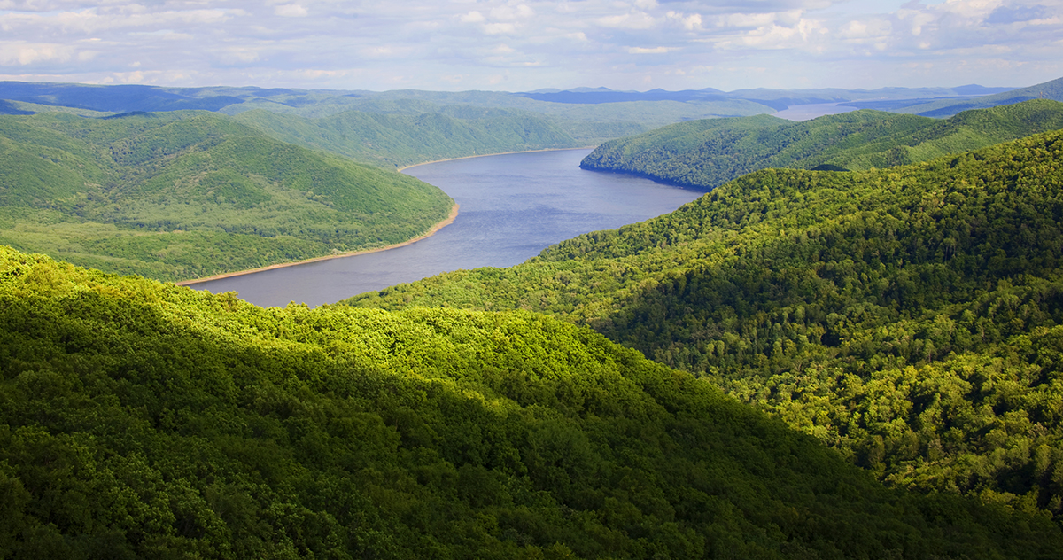 張建龍：“三北工程”實現生態(tài)、經濟、社會效益“多贏”