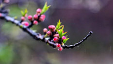 隨心而行，走走停停始終精彩。