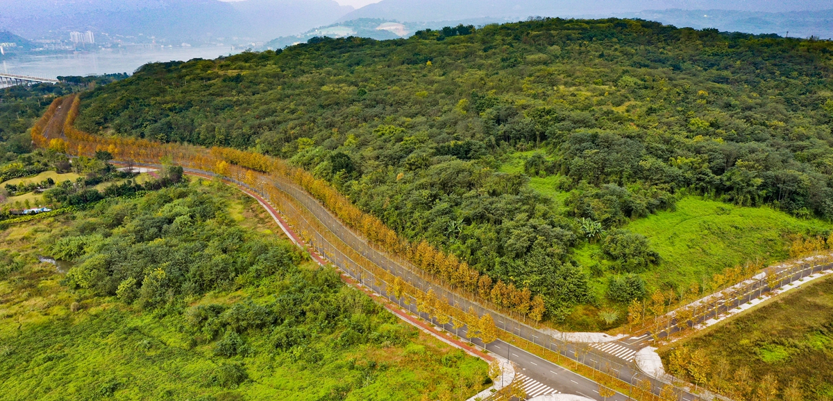 一江碧水串起綠色島鏈——重慶江心島“生態(tài)留白”調查