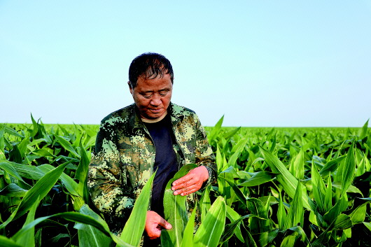 比農民更像農民的“廳級村官”