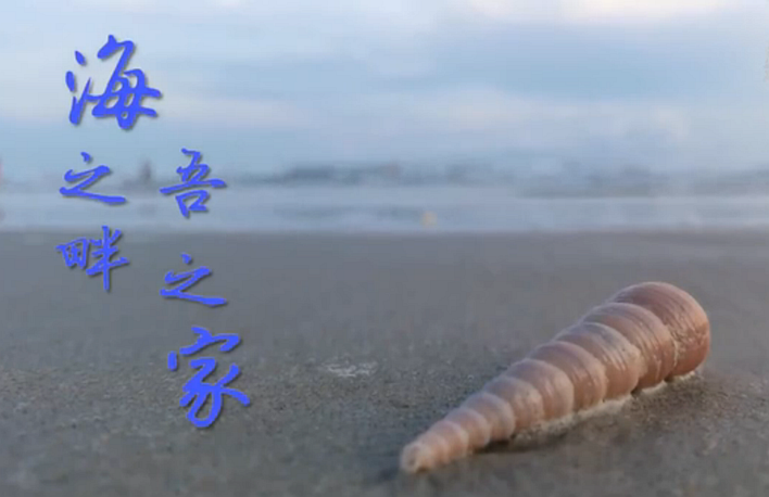 奮斗的幸福|海之畔 吾之家