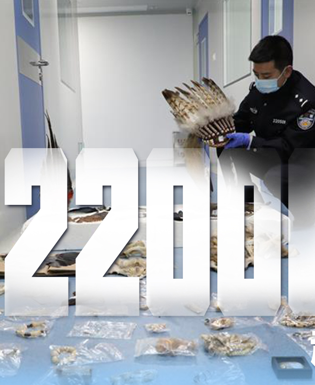 抗疫有“法”，就是這么給力！