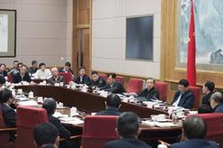 馬凱主持國家新材料產業發展領導小組第一次會議