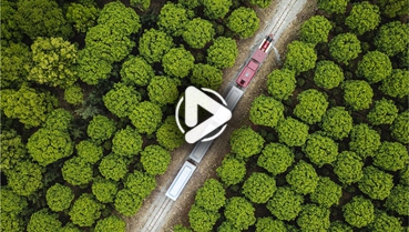 第十一集：你好！地球衛(wèi)士