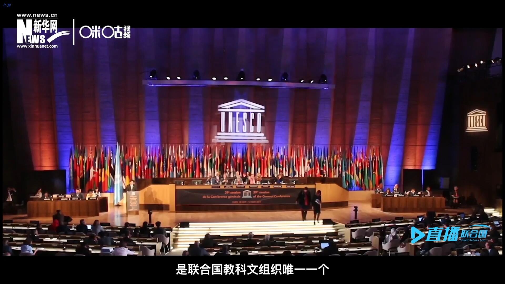 民間藝術國際組織成立于1979年，是聯(lián)合國教科文組織唯一一個以保護和挖掘國際民間藝術為工作中心的國際機構。