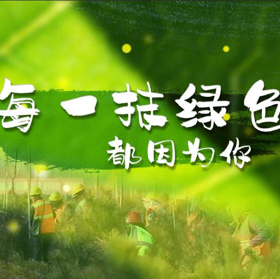 千年秀林，每一抹綠色都因為你