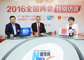 胡云騰、王建業做客新華網