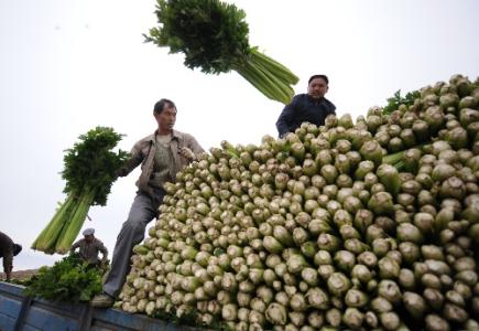 劉永富:發展產業脫貧仍是精準扶貧、精準脫貧主攻方向