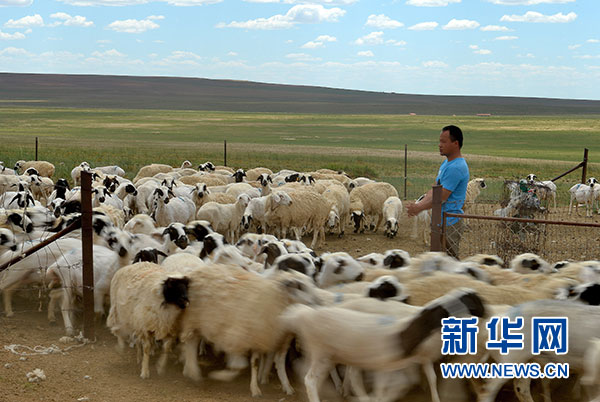 生態建設篇：密織生態安全大屏障