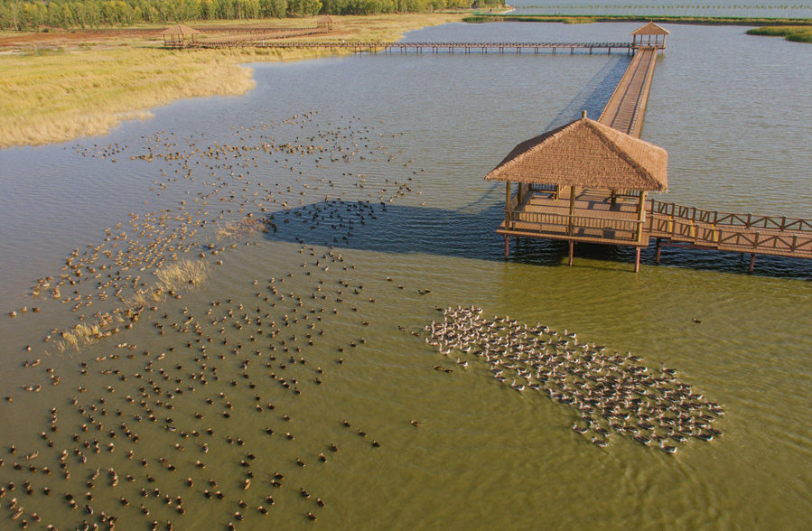 新華微評·學習路上：生態興，百業旺